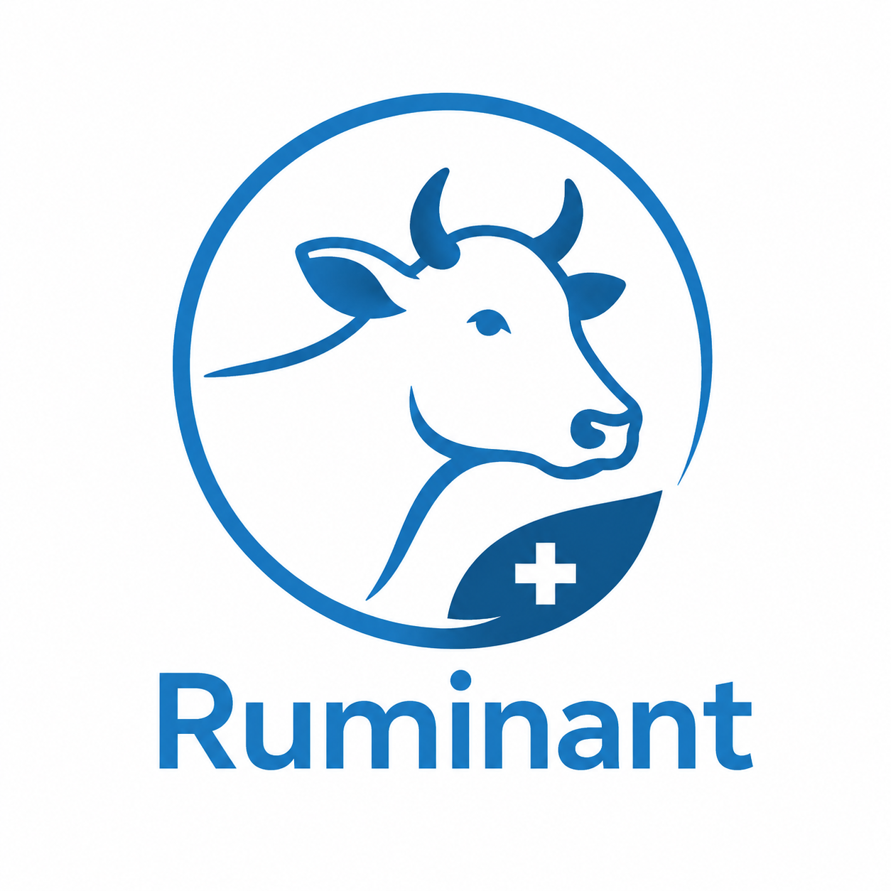 Ruminant