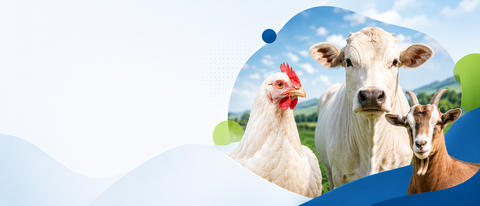 Complete poultry and livestock animal health solutions